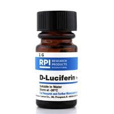 Mr. High Spray Deals | Save 20% on Bundles & Bulk Orders D-Luciferin potassium salt